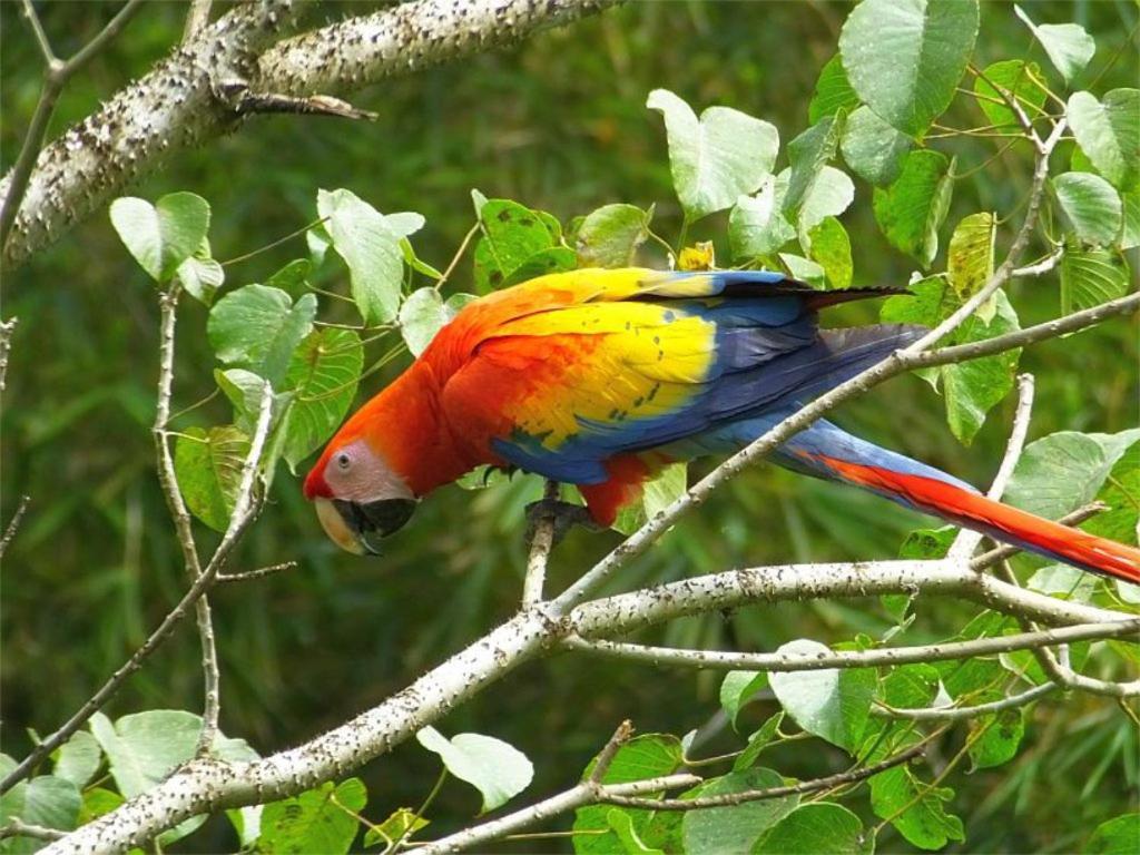 Cabana Itze La Fortuna Luaran gambar