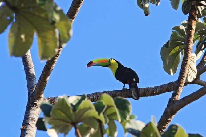 Cabana Itze La Fortuna Luaran gambar